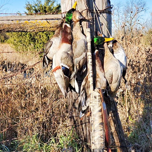 Big Buck Hunting in Elk Falls, Kansas