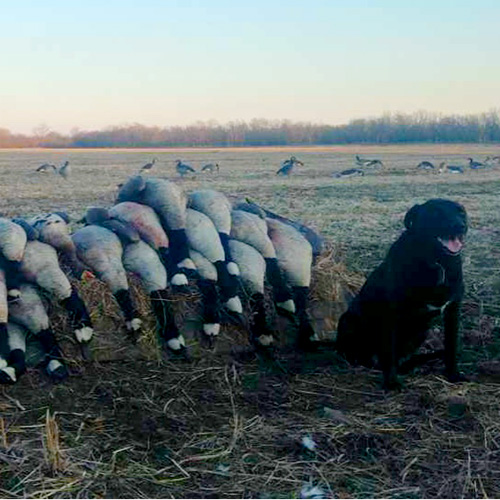 Big Buck Hunting in Elk Falls, Kansas